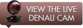View The Denali Cam